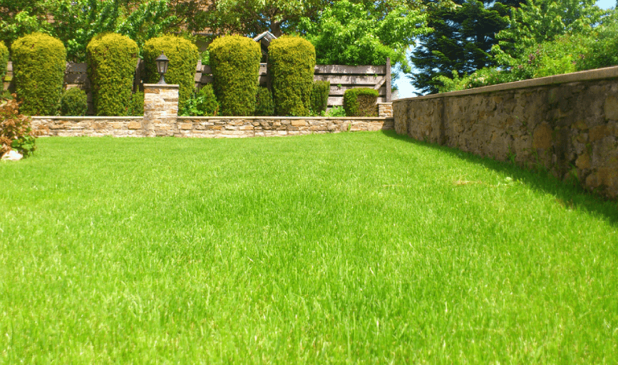 Amado Landscaping