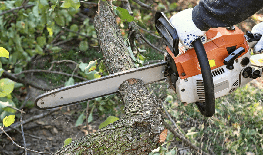 Amado Landscaping